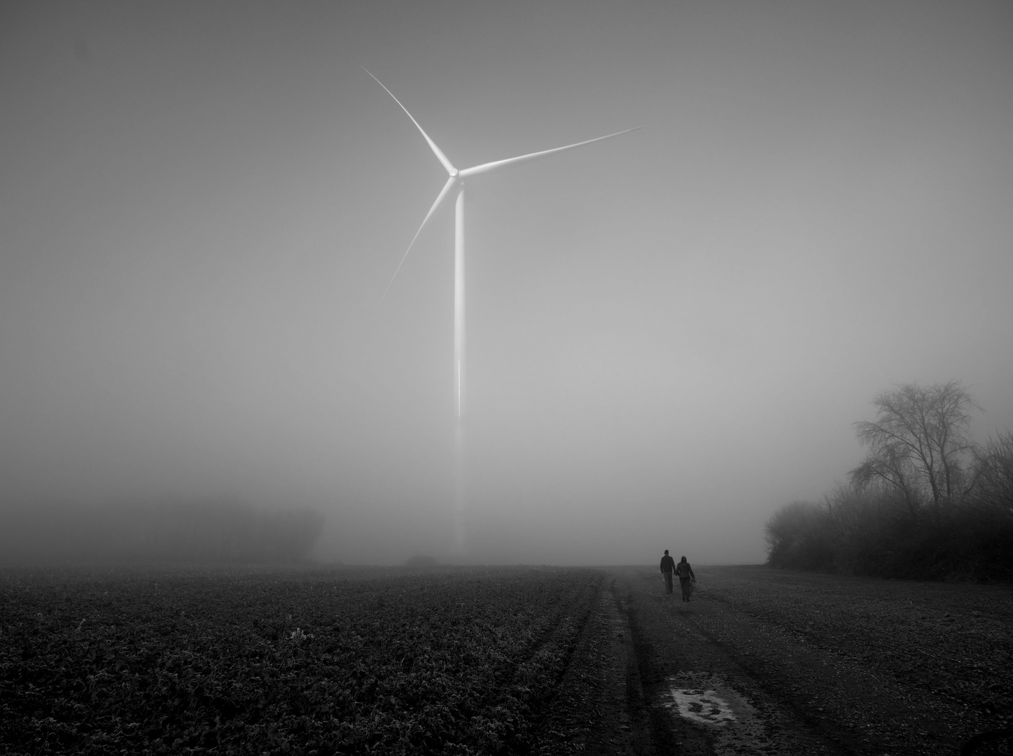 Hochfeld im Nebel