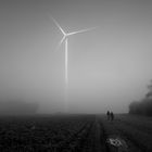 Hochfeld im Nebel