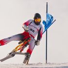 Hochficht Skibob Weltcup Finale 002
