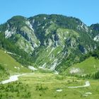 Hochfilzen 2 / Tirol