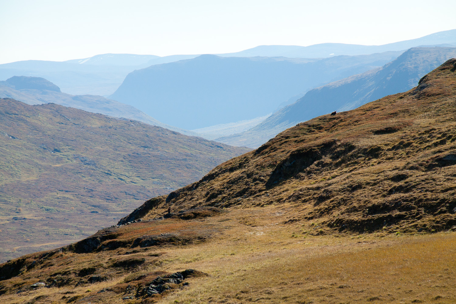 Hochfjäll am Padjelantaleden