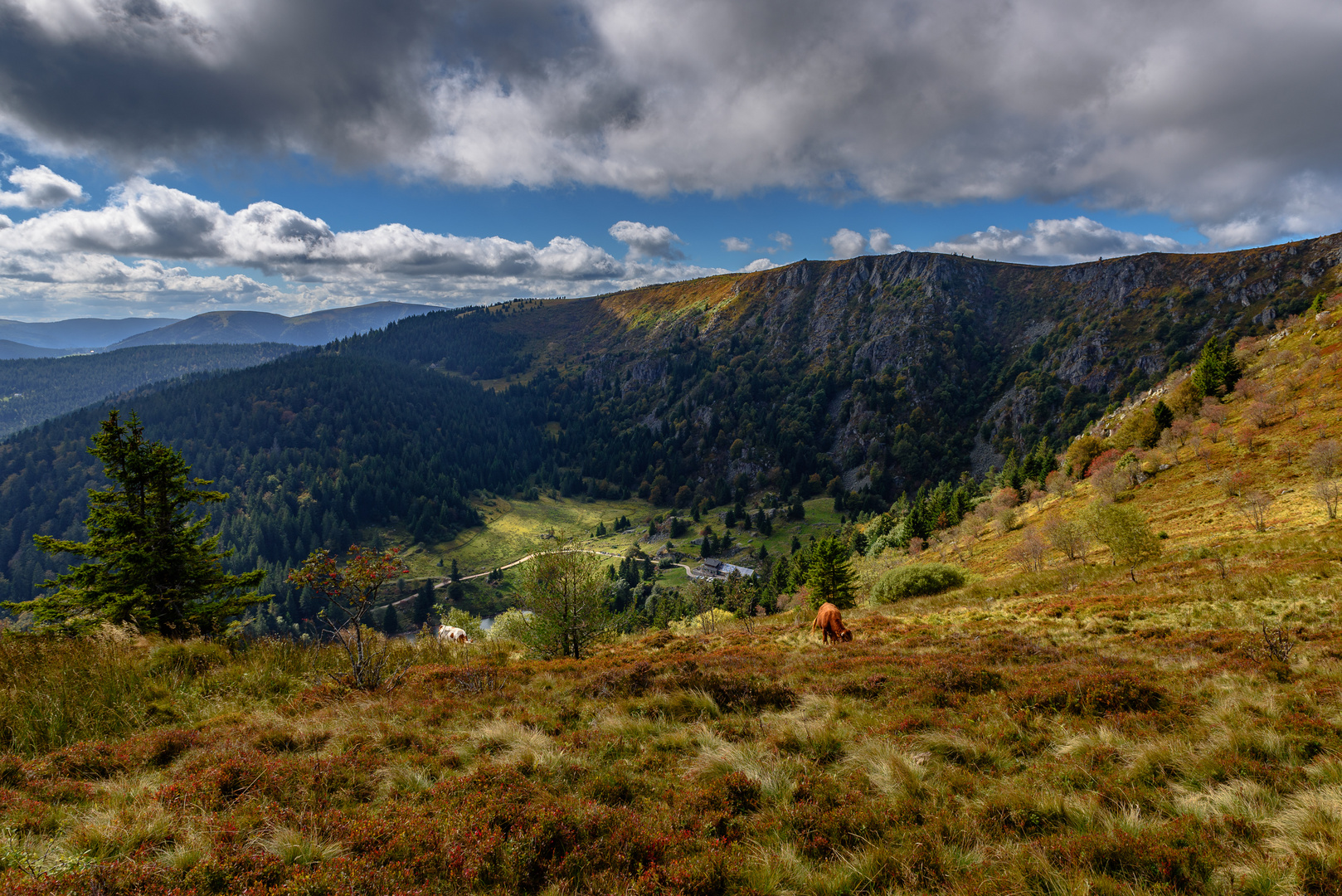 Hochfläche des Gazon du Faing (1.303 m)