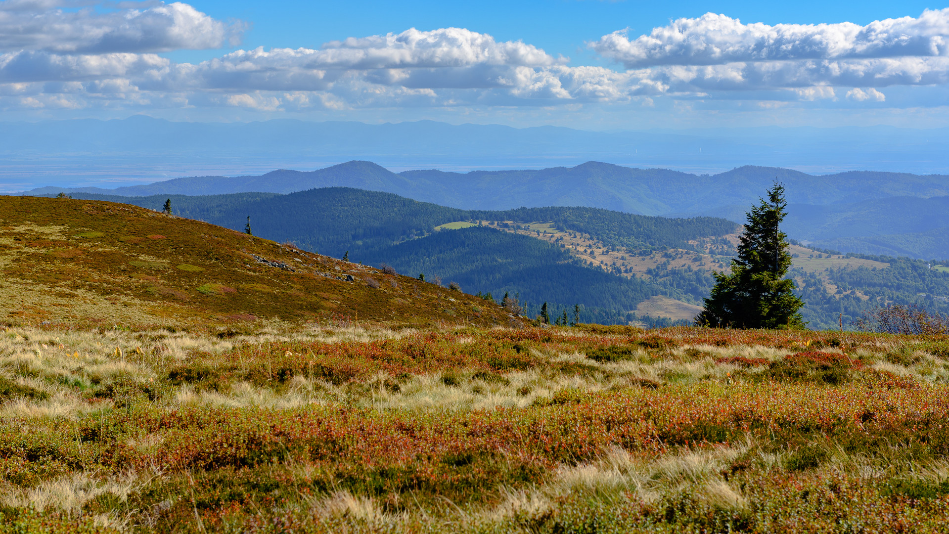 Hochfläche des Gazon du Faing