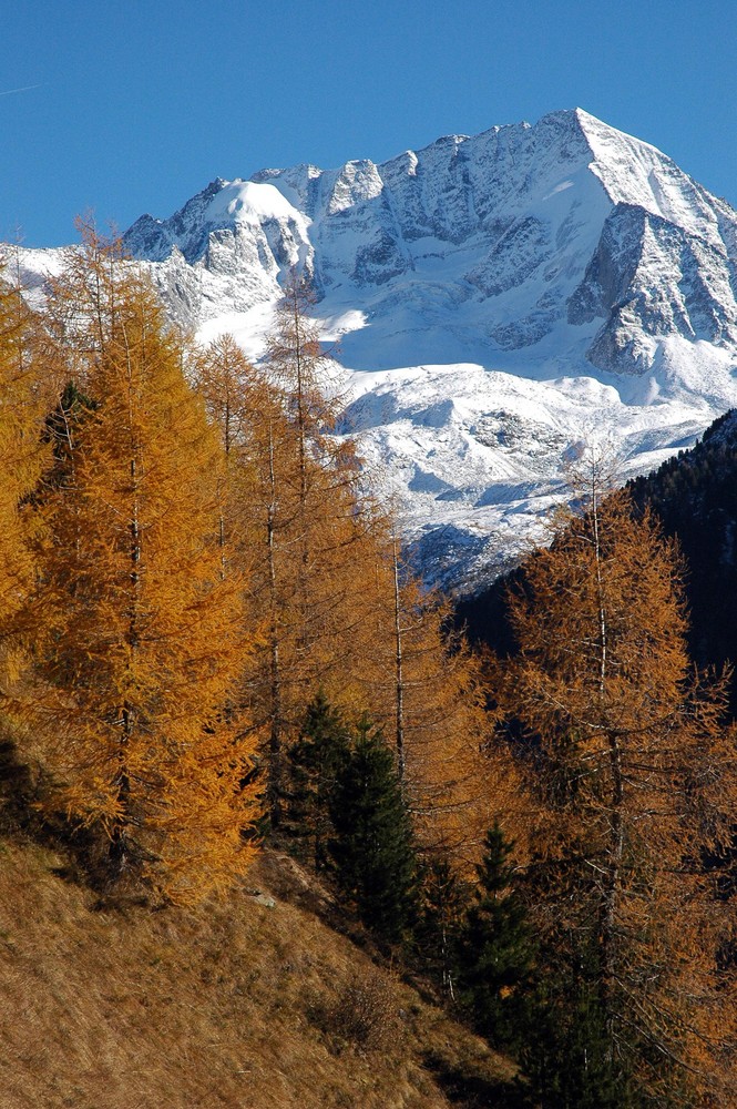 Hochgall der höchste Berg der Rieserfernergruppe. von Stefan Innerhofer