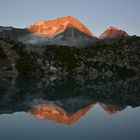 Hochgall im Abendlicht