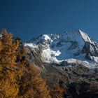 Hochgall im Herbst