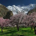 Hochgebirge in Pakistan