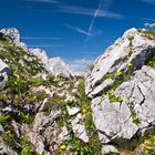 Hochgebirgs-Steingarten