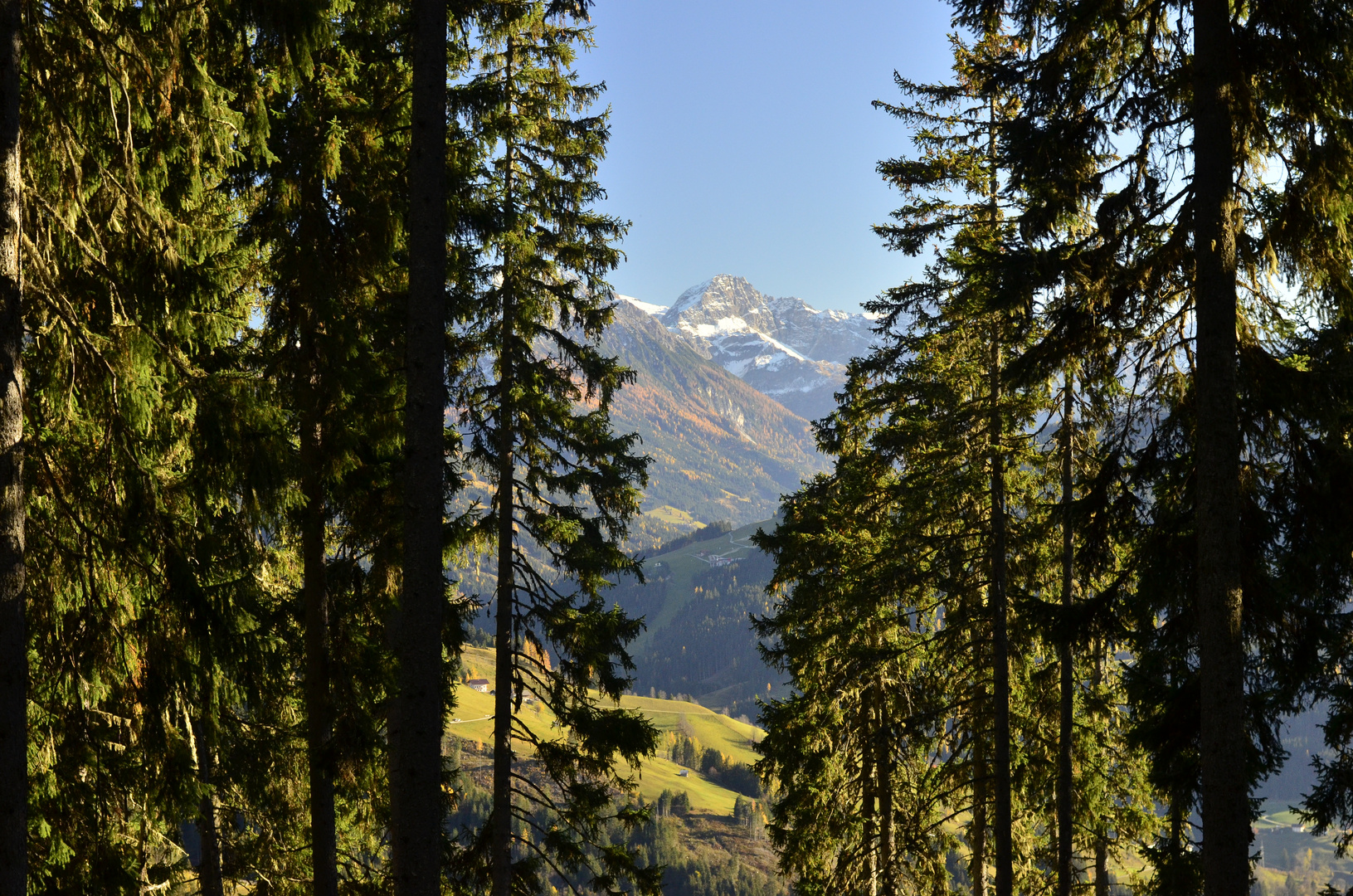 Hochgründegg