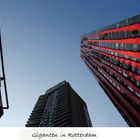 Hochhäuser in Holland
