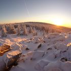 Hochharz Winter Abenddämmerung