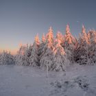 Hochharz Winter Abenddämmerung