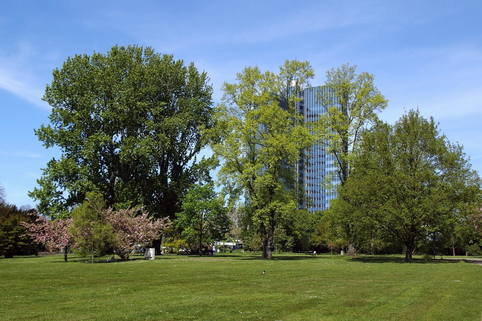 Hochhaus der Telekom 