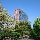 Hochhaus hinter Park in Frankfurt