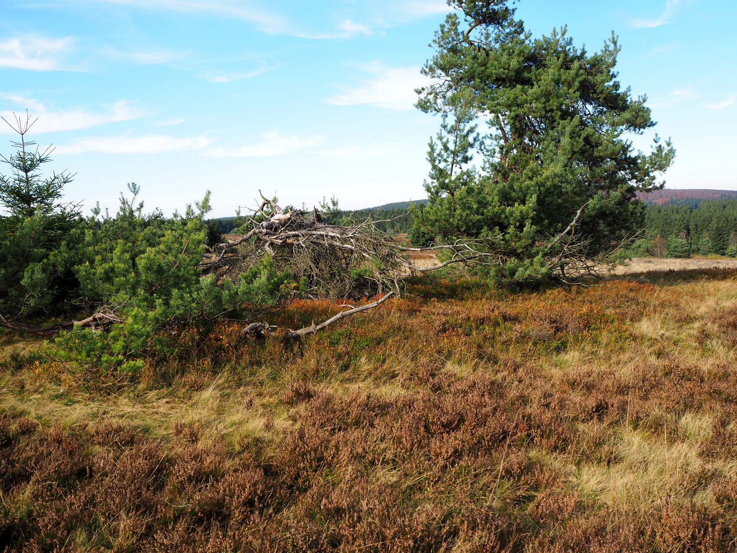 Hochheide ...