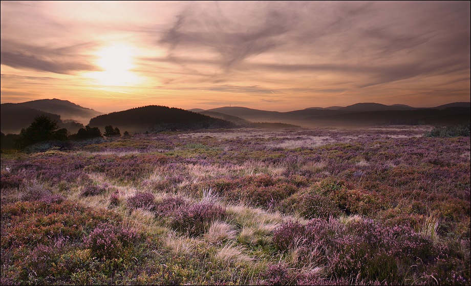 hochheide 2