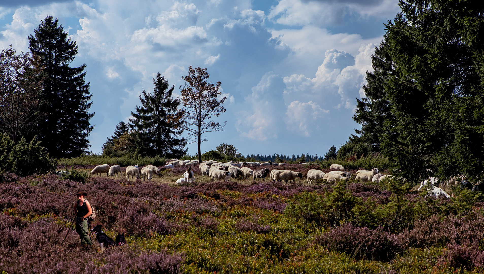 Hochheide