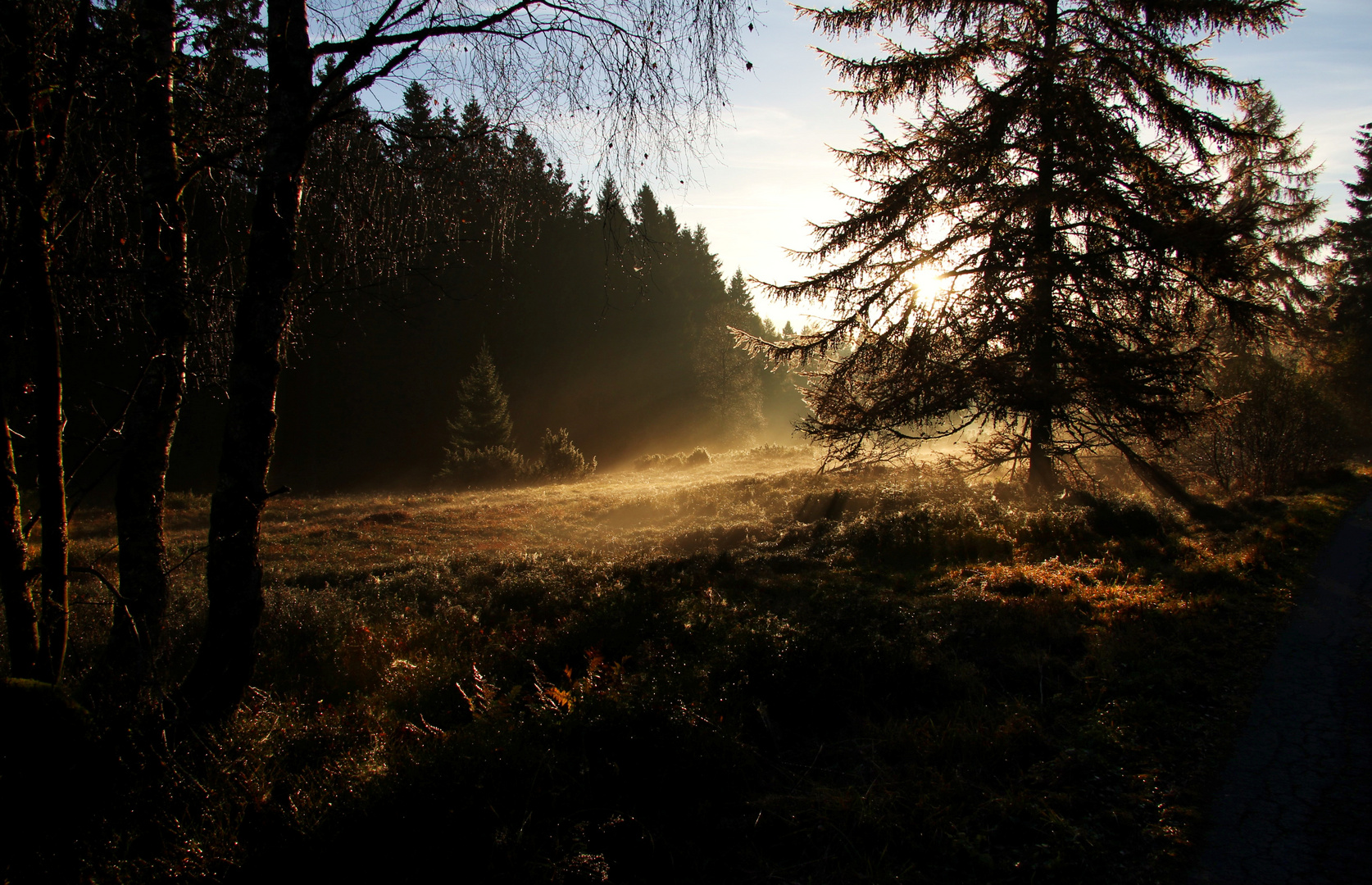 Hochheide im Nebel 