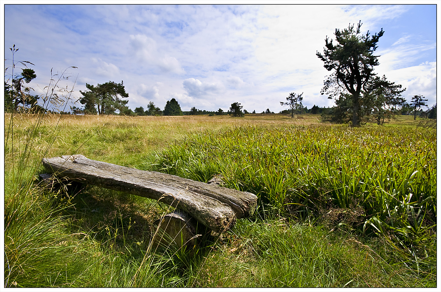 Hochheide in Niedersfeld