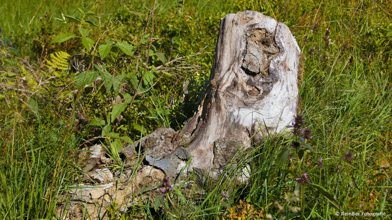 Hochheide Niedersfeld