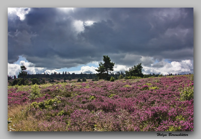 Hochheide- Niedersfeld 2