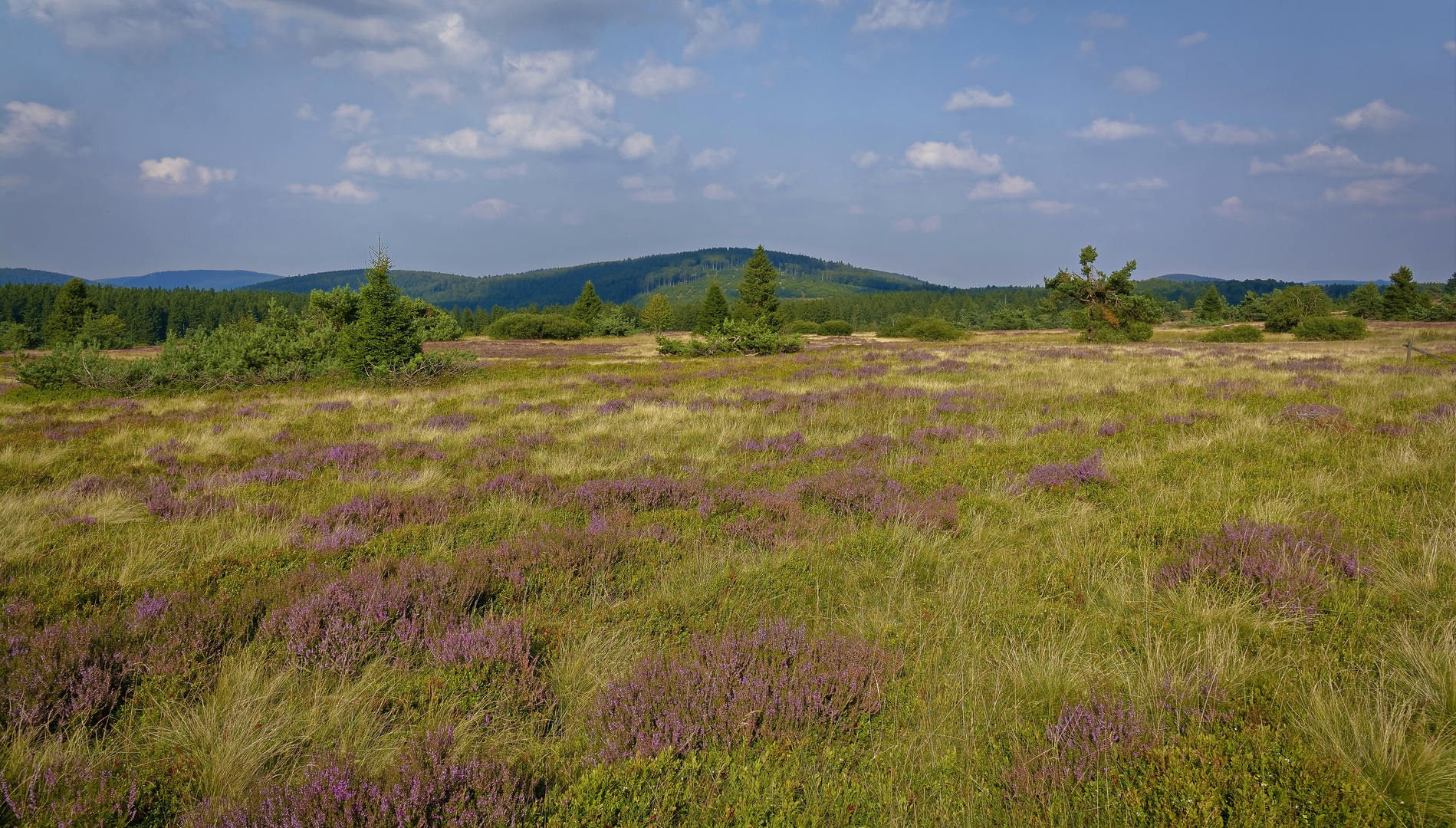 Hochheide Niedersfeld