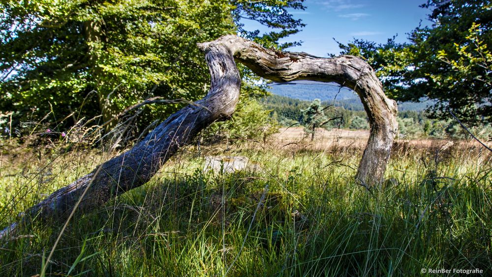 Hochheide Niedersfeld