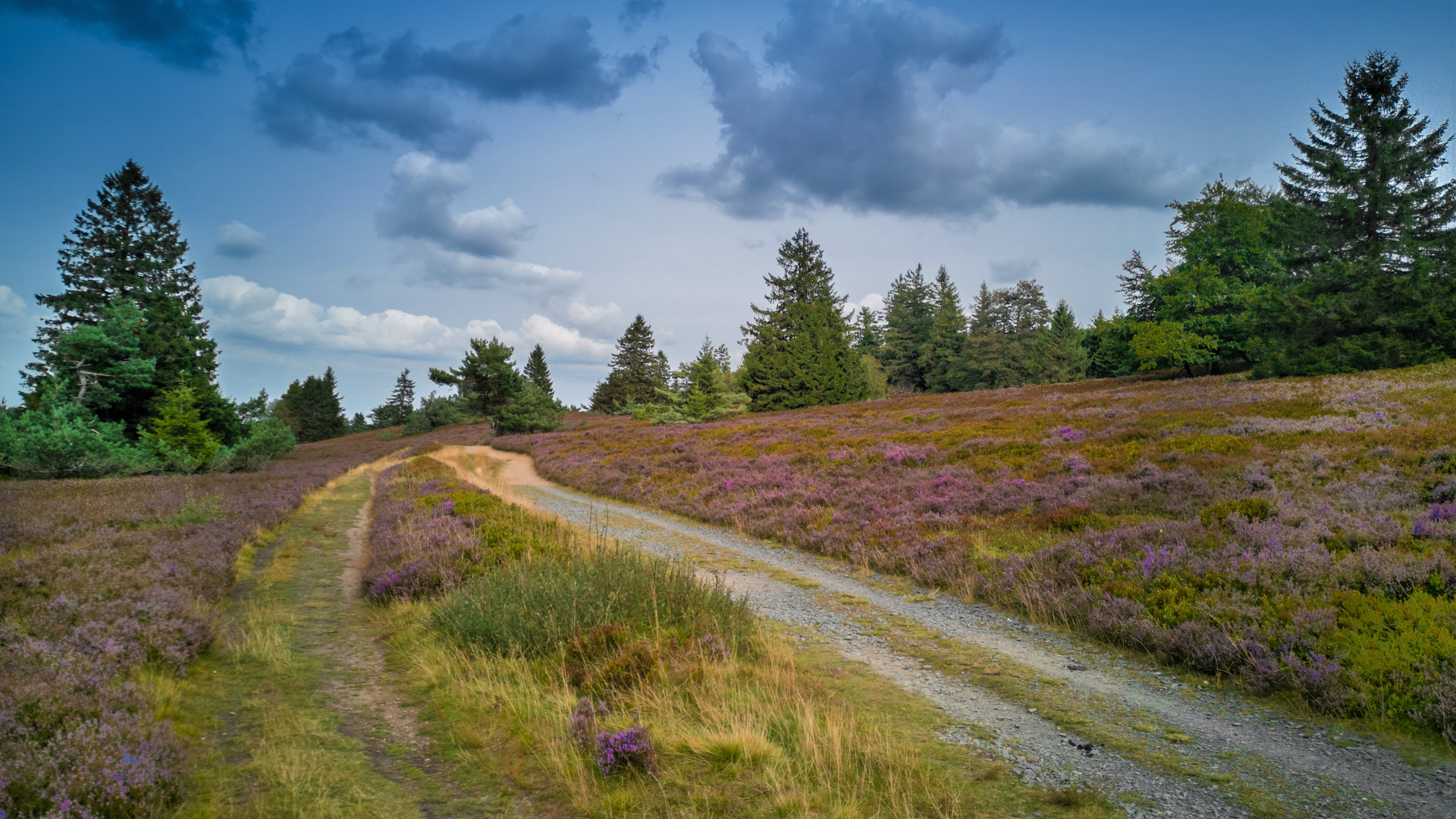 Hochheide Niedersfeld