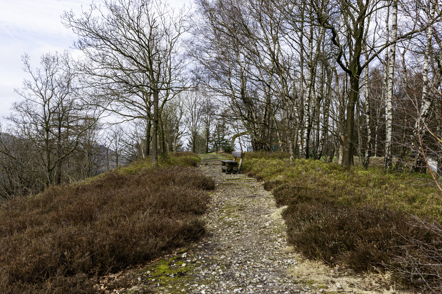 Hochheide und Blaubeerenflächen