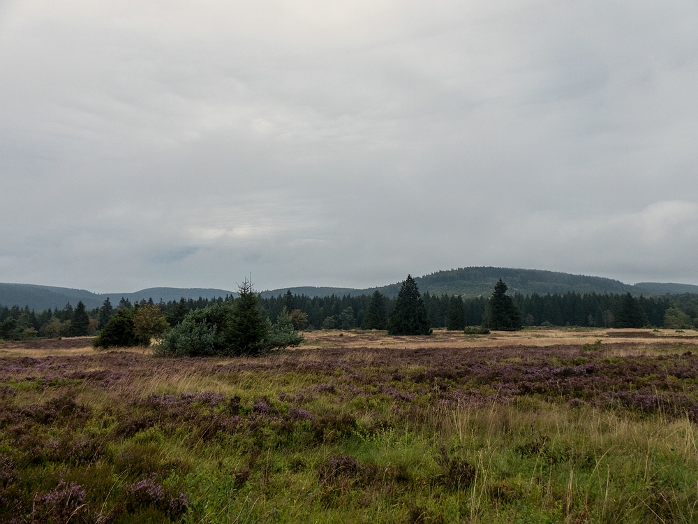 Hochheide unter Wolken