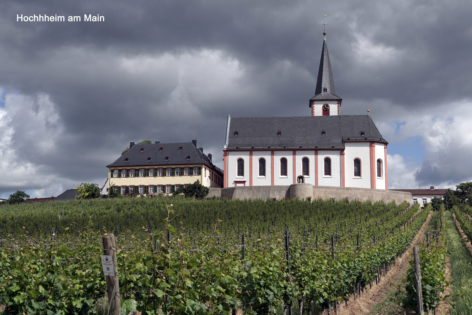 Hochheim am Main, Wein- u. Sektstadt im Rheingau