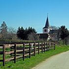 Hochheim-Massenheim: ...auf dem Panoramaweg nach Massenheim