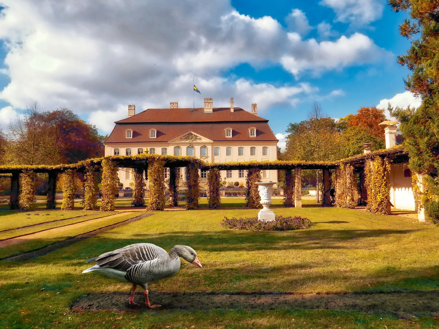 Hochherschaftliche Gans vor Schloß Branitz