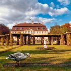 Hochherschaftliche Gans vor Schloß Branitz