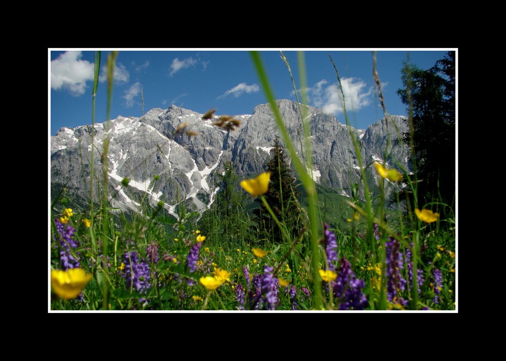 Hochkönig