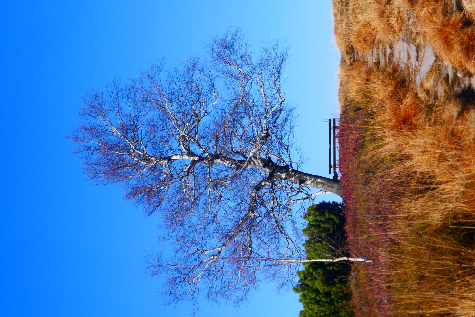 Hochkopf Schwarzwald