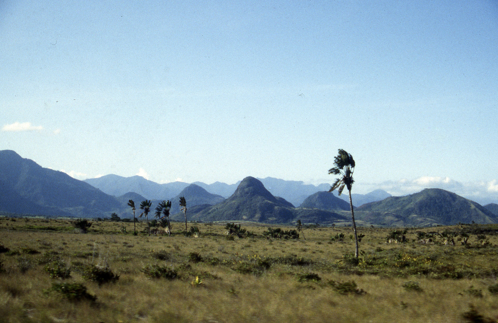 Hochland bei Fort Dauphin (Madagaskar)
