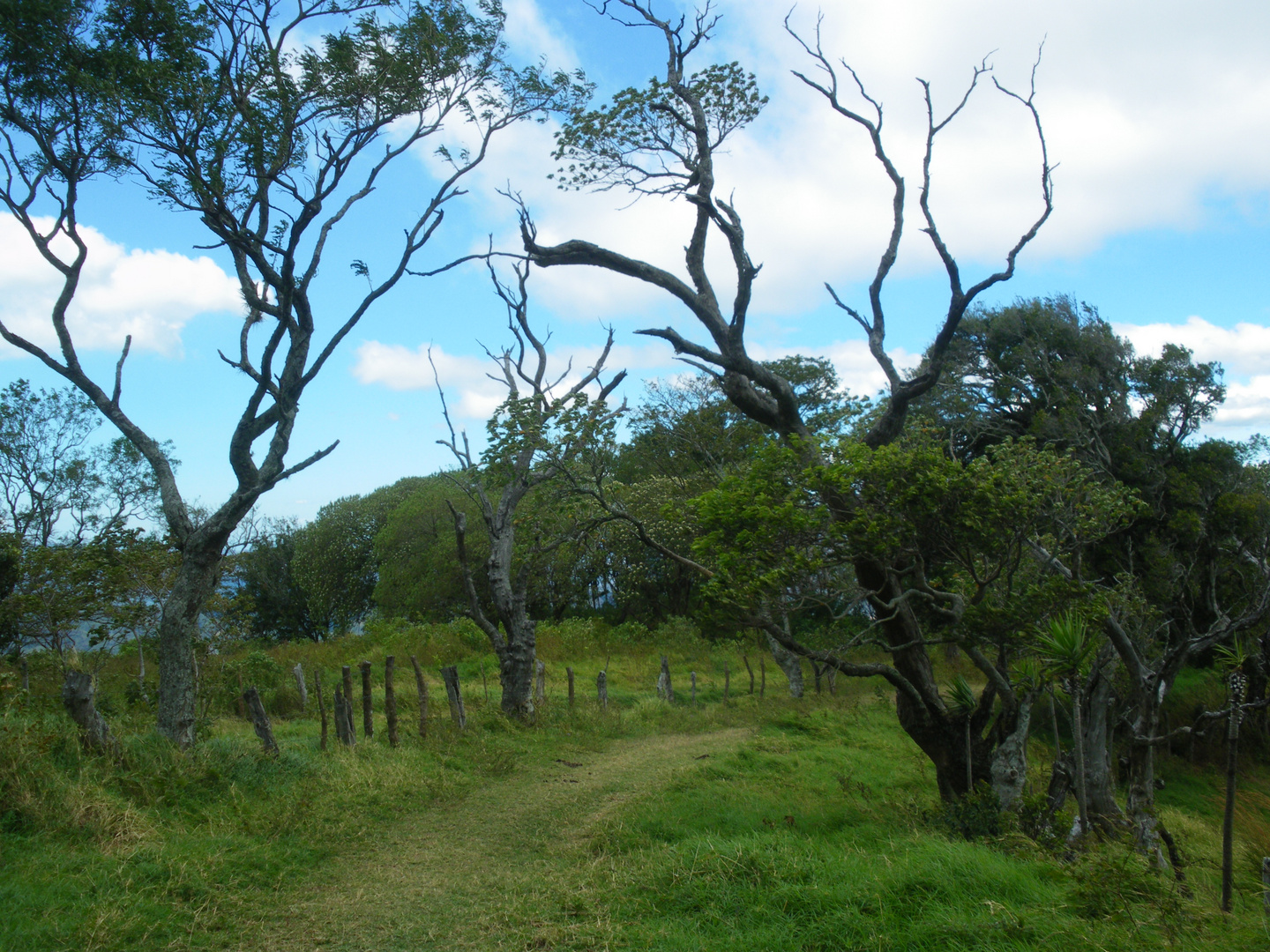 Hochland Costa Rica