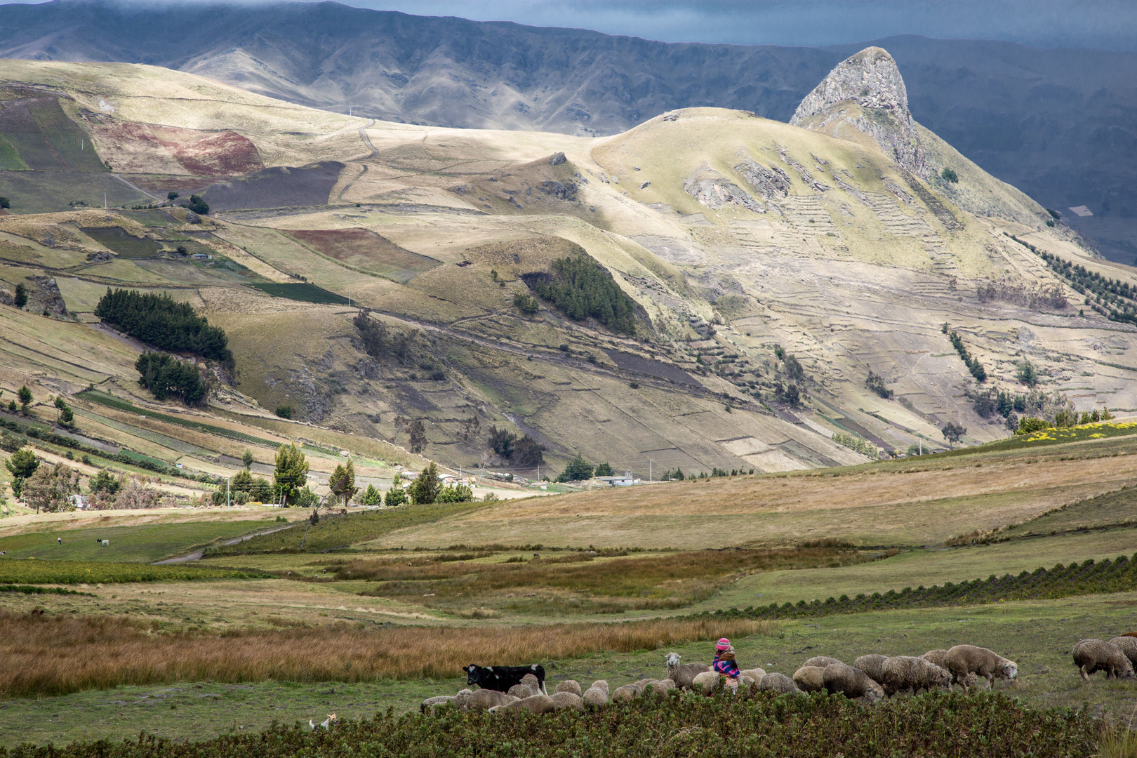 Hochland in Ecuador