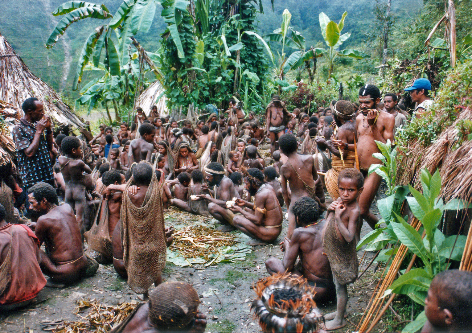 Hochland Papuas