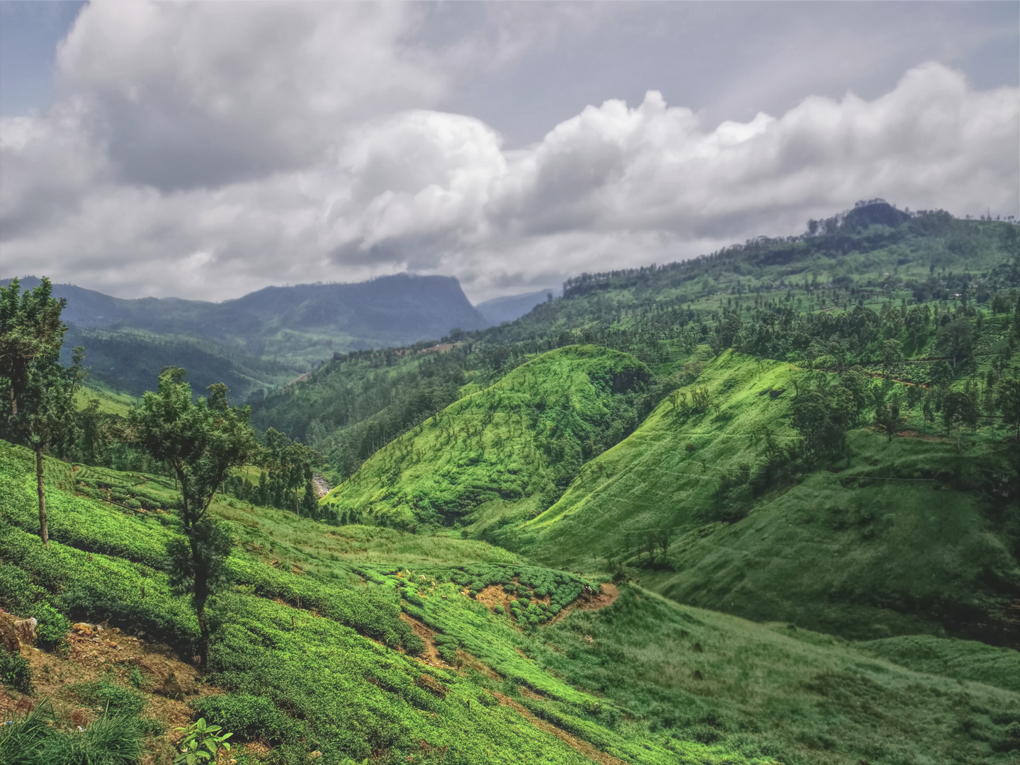 Hochland, Sri Lanka