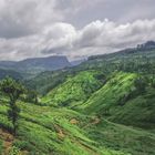 Hochland, Sri Lanka