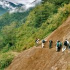 Hochland Trekking in West Papua