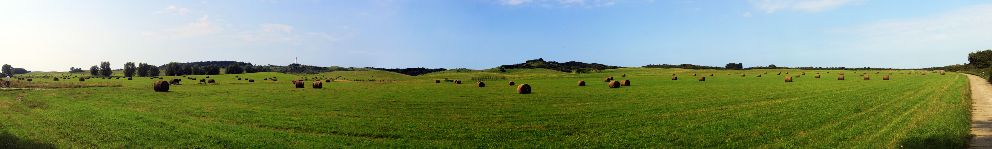 Hochland von Hiddensee - Der Dornbusch