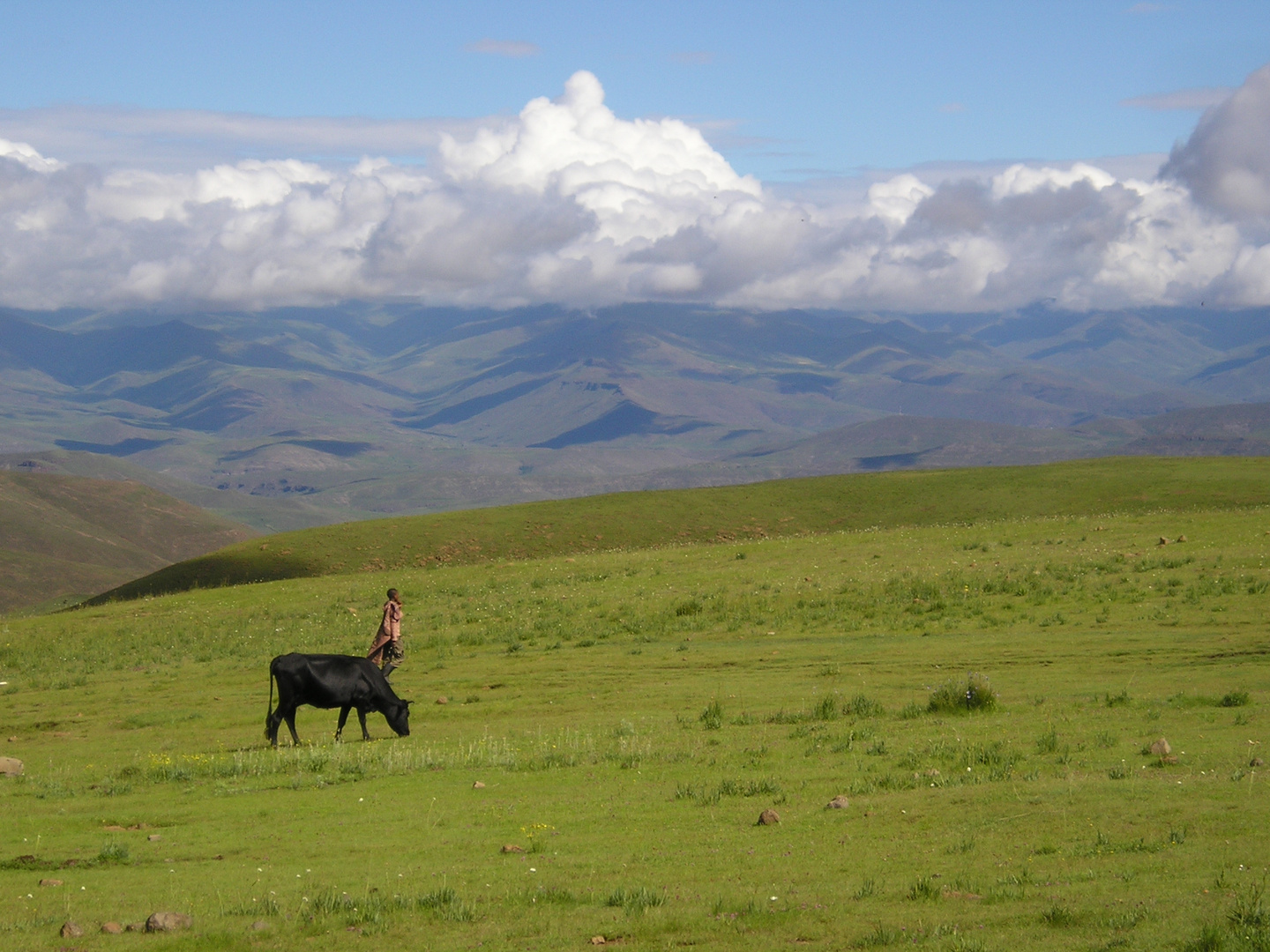 Hochland von Lesotho 2