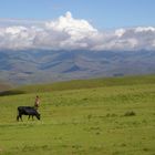 Hochland von Lesotho 2