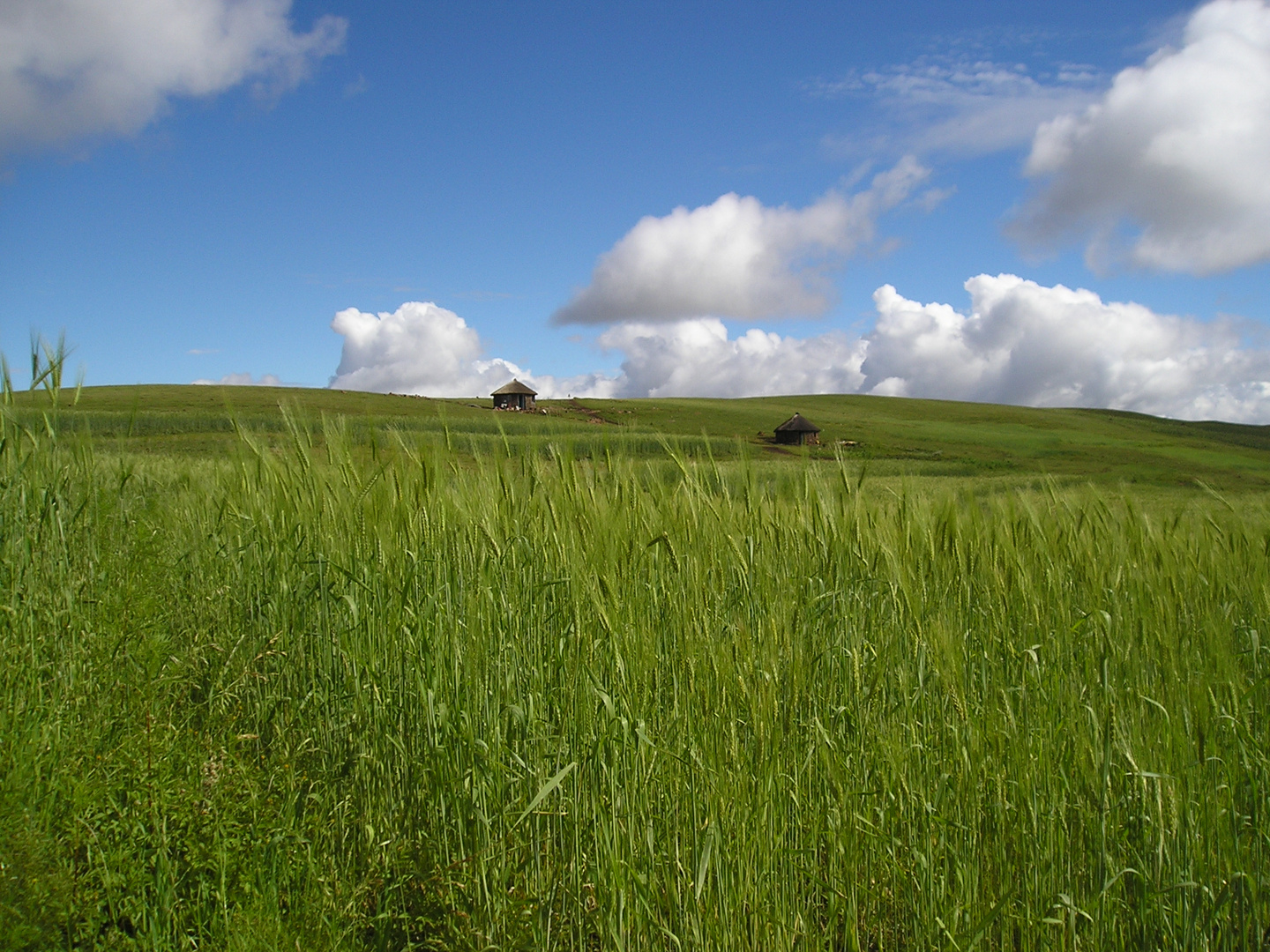 Hochland von Lesotho