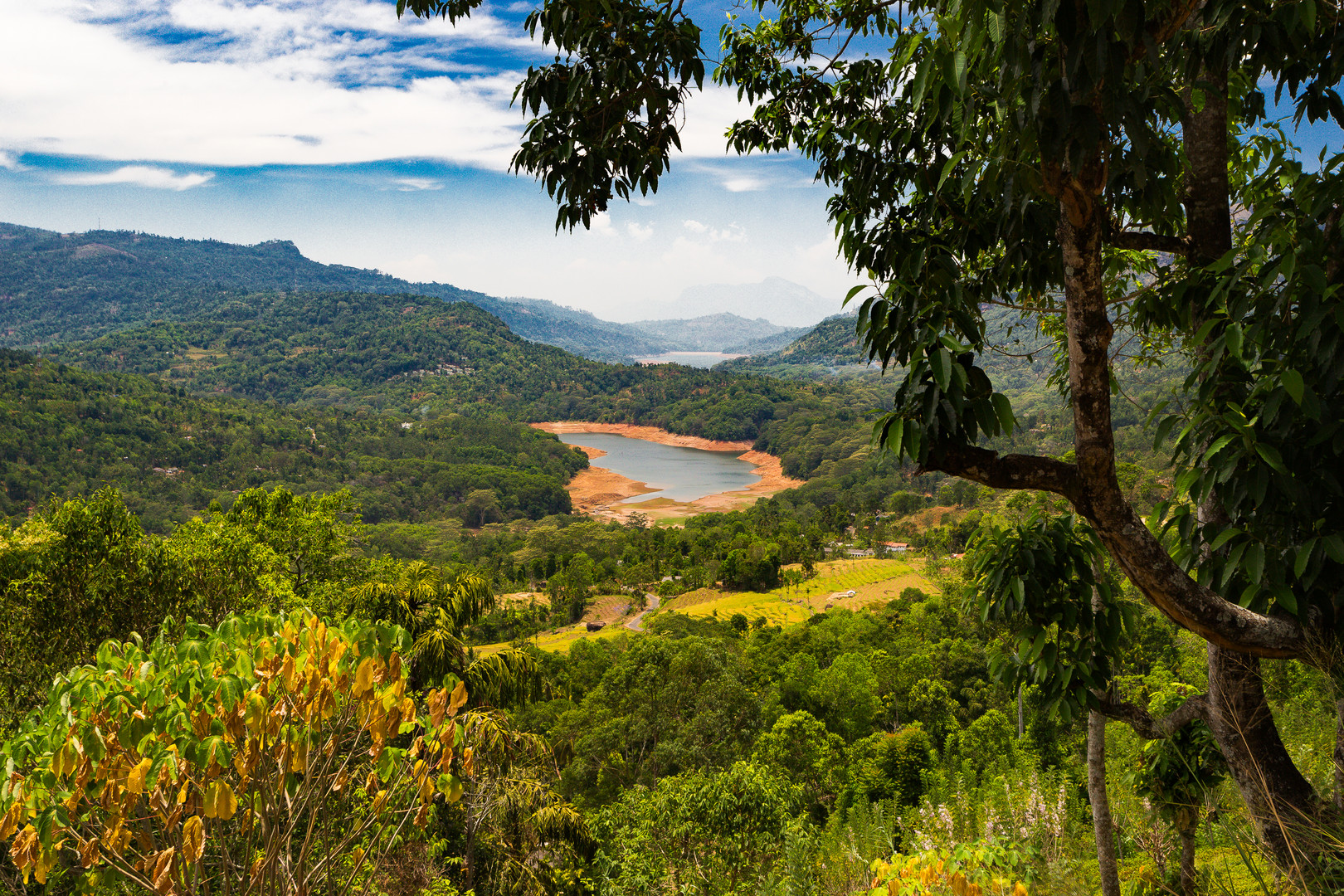 Hochland von Nuwara Eliya