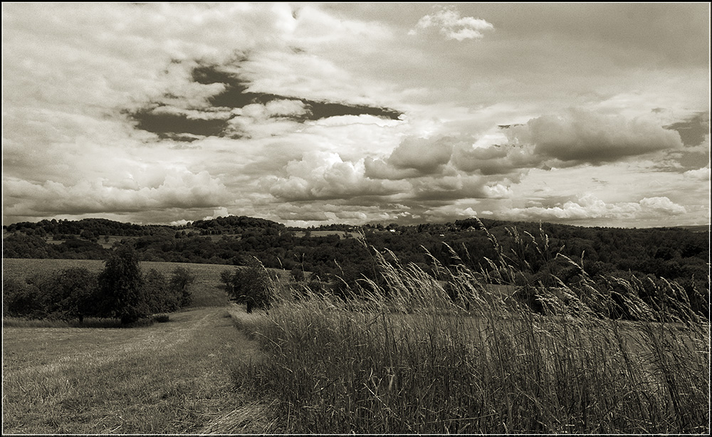 Hochland von Schönfeld