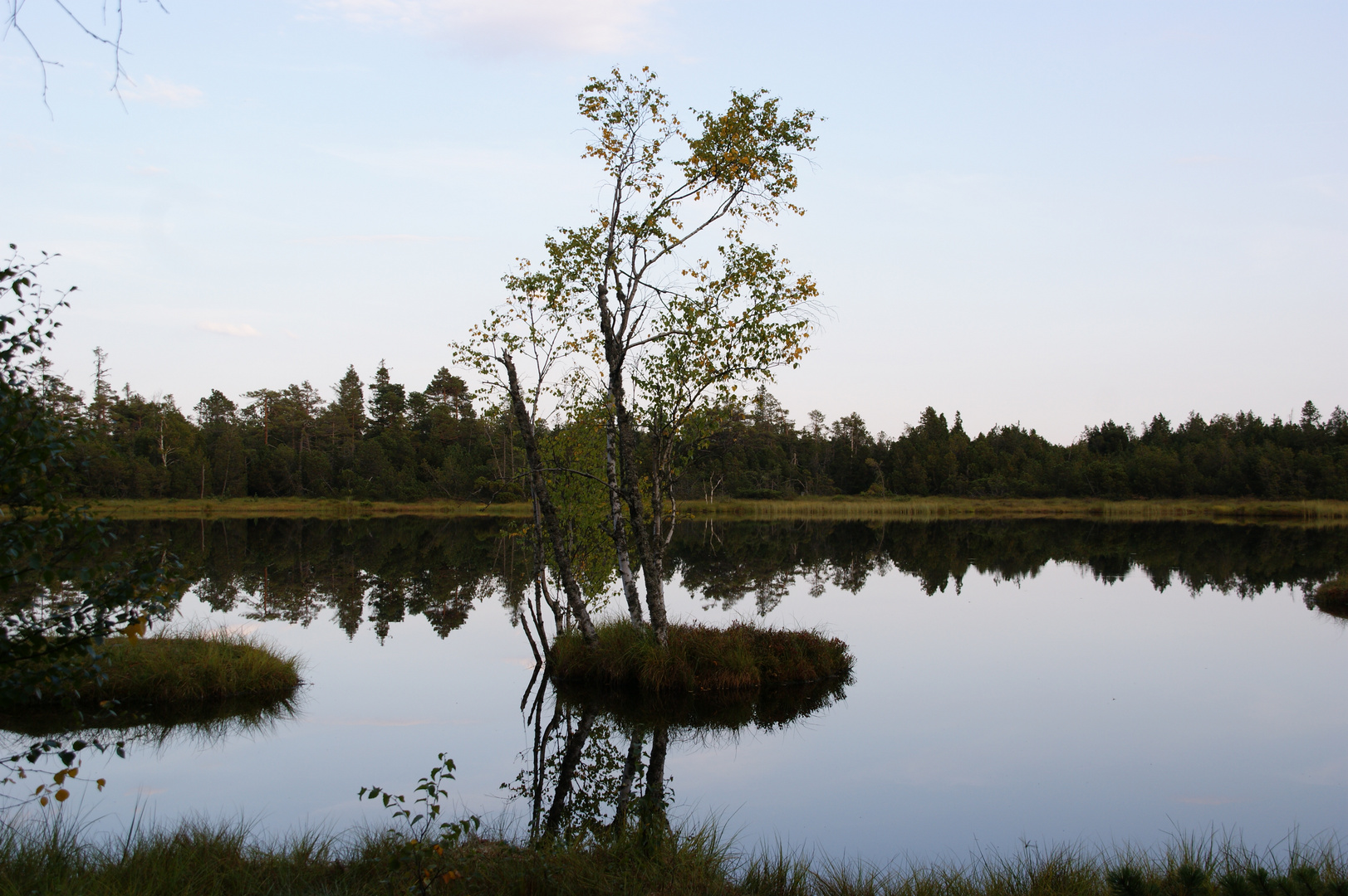 Hochmoor